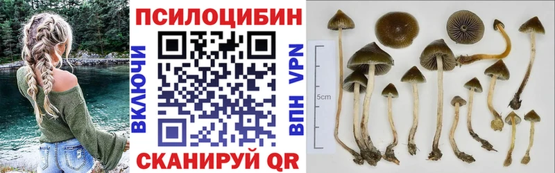 Псилоцибиновые грибы ЛСД  Углич 