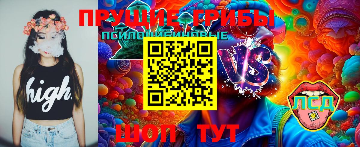 Углич  Псилоцибиновые грибы ЛСД  Вход с VPN 