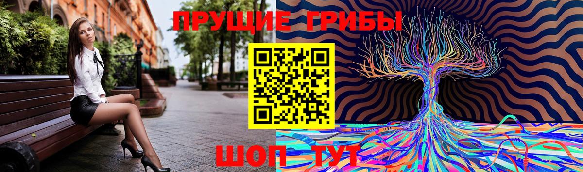 Галлюциногенные грибы ЛСД Углич